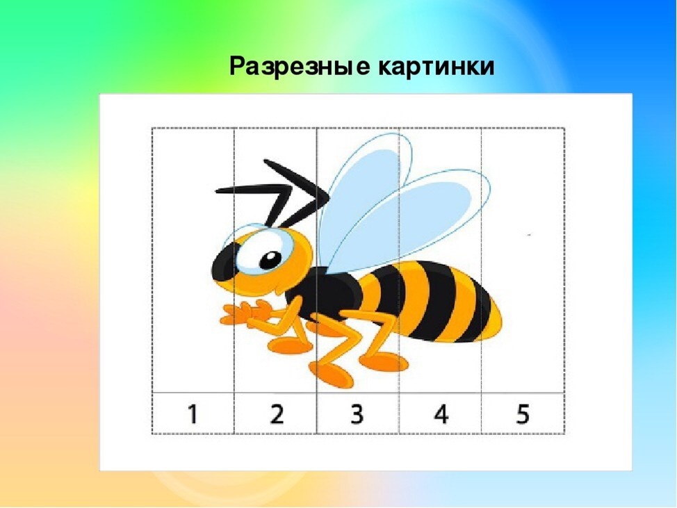 Разрезные картинки по теме насекомые для дошкольников