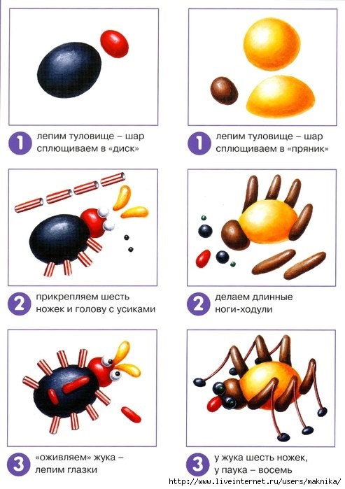 Насекомые из пластилина картинки