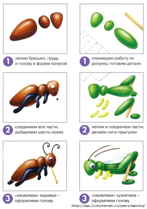 Технологическая карта лепка