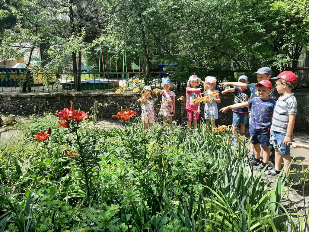"Наблюдение за цветами на прогулке" с детьми среднего дошкольного возраста группы № 3